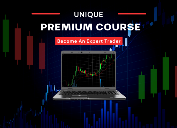 Modern Business online course Trading Investment Instagram Post